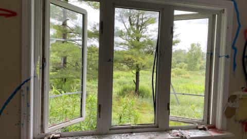 Rainy Sunday - IMG_6203.JPG