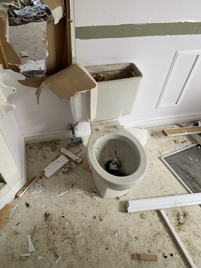 just a gnarly toilet.