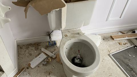 just a gnarly toilet.