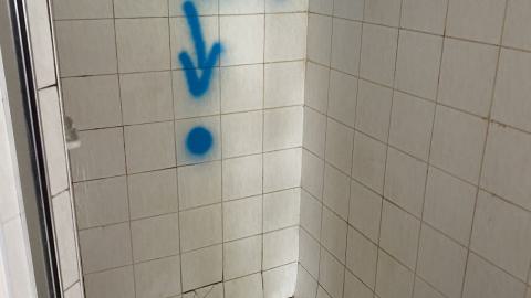 Rainy Sunday - IMG_6217.JPG