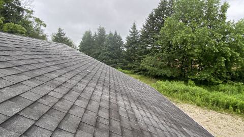 Rainy Sunday - IMG_6227.JPG