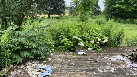 the residential area in the far back.