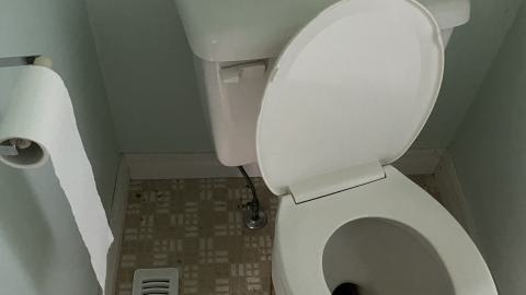 all things considering, excellent shape.