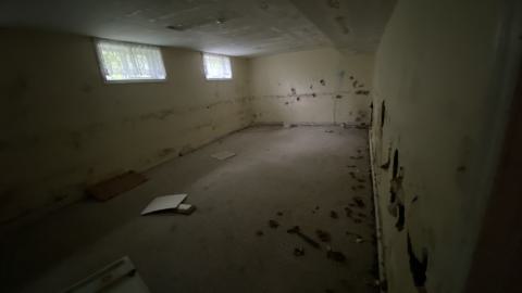 Rainy Sunday - IMG_6297.JPG