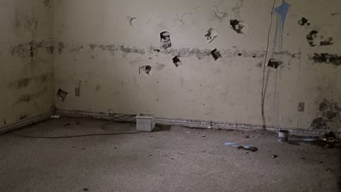 Rainy Sunday - IMG_6295.JPG