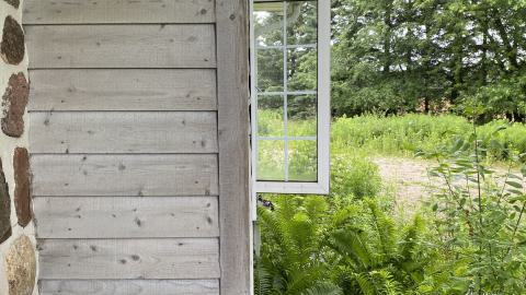 Rainy Sunday - IMG_6254.JPG