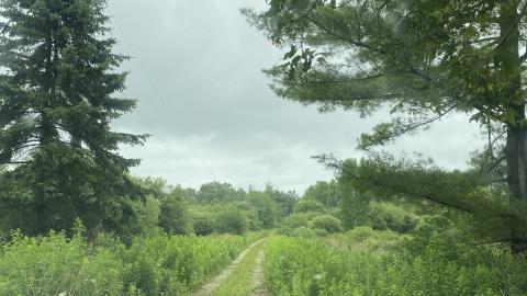 the really loooong driveway, see ya!