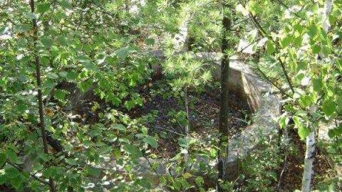 Gallery - Long-Lake-Gold-Mine24.jpg