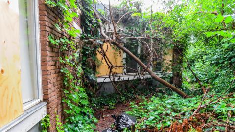 Discovery Visit, July 2023 - IMG_4034-2X.jpg