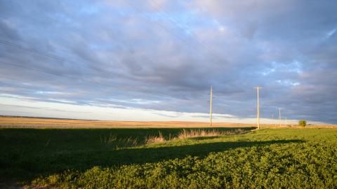Raley Grain Elevator photo 5