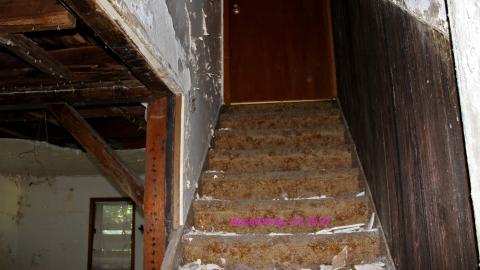 Photo from #Reasons. #Baseballbats. 9/7/2019.