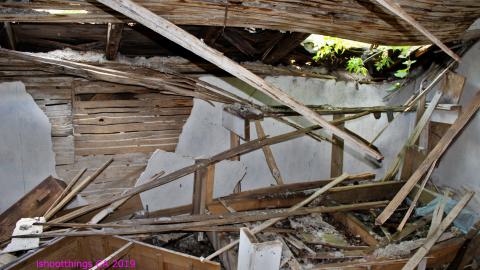 #Reasons. #Baseballbats. 9/7/2019. - IMG_8581.JPG