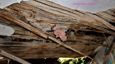 #Reasons. #Baseballbats. 9/7/2019. - IMG_8582.JPG