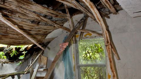 #Reasons. #Baseballbats. 9/7/2019. - IMG_8583.JPG