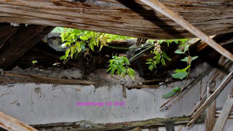 #Reasons. #Baseballbats. 9/7/2019. - IMG_8588.JPG