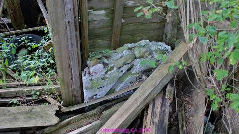 #Reasons. #Baseballbats. 9/7/2019. - IMG_8615.JPG