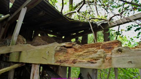 #Reasons. #Baseballbats. 9/7/2019. - IMG_8620.JPG