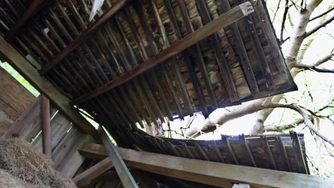 #Reasons. #Baseballbats. 9/7/2019. - IMG_8625.JPG