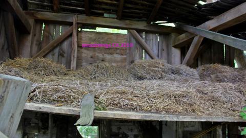 #Reasons. #Baseballbats. 9/7/2019. - IMG_8626.JPG