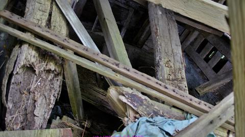 #Reasons. #Baseballbats. 9/7/2019. - IMG_8627.JPG