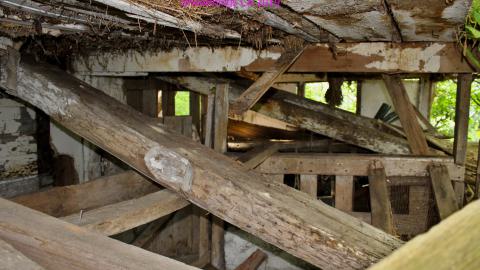 #Reasons. #Baseballbats. 9/7/2019. - IMG_8631.JPG