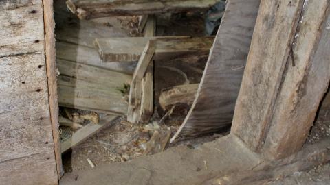 #Reasons. #Baseballbats. 9/7/2019. - IMG_8632.JPG