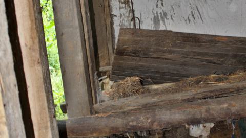 #Reasons. #Baseballbats. 9/7/2019. - IMG_8642.JPG