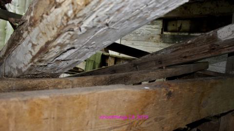 #Reasons. #Baseballbats. 9/7/2019. - IMG_8644.JPG