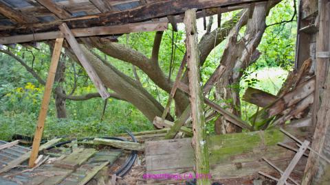 #Reasons. #Baseballbats. 9/7/2019. - IMG_8647.JPG