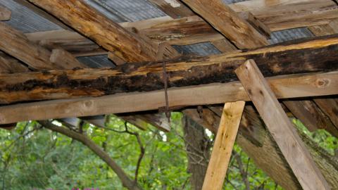 #Reasons. #Baseballbats. 9/7/2019. - IMG_8648.JPG