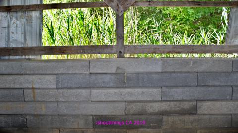 #Reasons. #Baseballbats. 9/7/2019. - IMG_8678.JPG