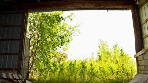 #Reasons. #Baseballbats. 9/7/2019. - IMG_8688.JPG