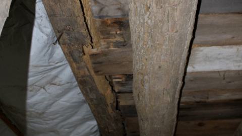 #Reasons. #Baseballbats. 9/7/2019. - IMG_8697.JPG