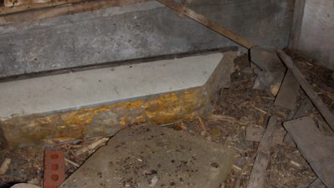 #Reasons. #Baseballbats. 9/7/2019. - IMG_8700.JPG