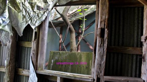 #Reasons. #Baseballbats. 9/7/2019. - IMG_8703.JPG