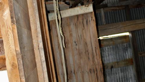 #Reasons. #Baseballbats. 9/7/2019. - IMG_8710.JPG