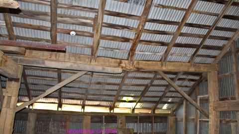 #Reasons. #Baseballbats. 9/7/2019. - IMG_8712.JPG