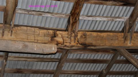 #Reasons. #Baseballbats. 9/7/2019. - IMG_8713.JPG