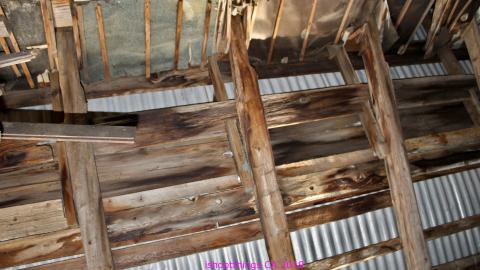 #Reasons. #Baseballbats. 9/7/2019. - IMG_8732.JPG