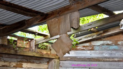 #Reasons. #Baseballbats. 9/7/2019. - IMG_8734.JPG