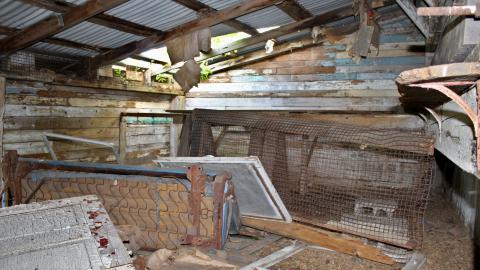 #Reasons. #Baseballbats. 9/7/2019. - IMG_8735.JPG