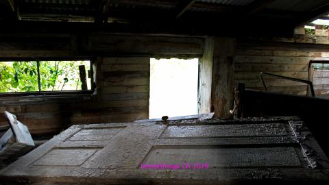 #Reasons. #Baseballbats. 9/7/2019. - IMG_8736.JPG