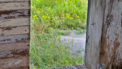 #Reasons. #Baseballbats. 9/7/2019. - IMG_8739.JPG