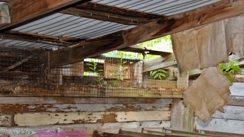 #Reasons. #Baseballbats. 9/7/2019. - IMG_8740.JPG