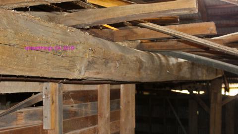 #Reasons. #Baseballbats. 9/7/2019. - IMG_8745.JPG