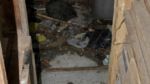 #Reasons. #Baseballbats. 9/7/2019. - IMG_8747.JPG