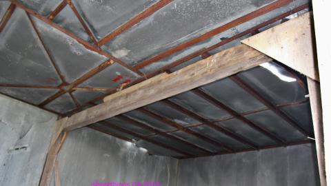 #Reasons. #Baseballbats. 9/7/2019. - IMG_8756.JPG