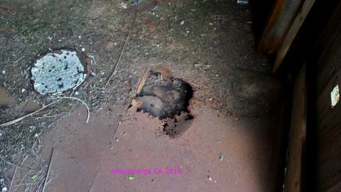 #Reasons. #Baseballbats. 9/7/2019. - IMG_8758.JPG