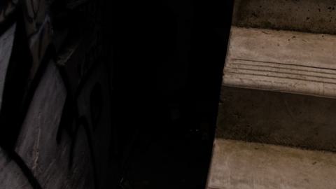 The Backrooms - DSC_0059.jpg