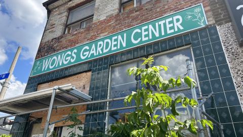 Wongs Garden Center photo 2